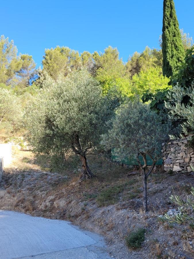 L'Oustau De Laetitia Animaux Bienvenus Villa Fontaine-de-Vaucluse Kültér fotó